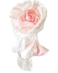 spilla Aletta Bambine e ragazze Rosa