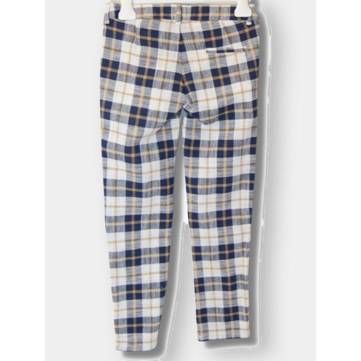 Retro dei pantaloni a quadri blu con il taschino a filetto