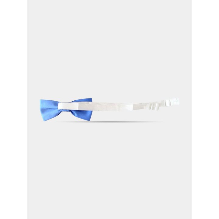Retro del papillon blu chiaro con la fascetta bianca e il gancetto