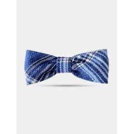 Papillon Aletta a quadri blu e bianchi, vista frontale