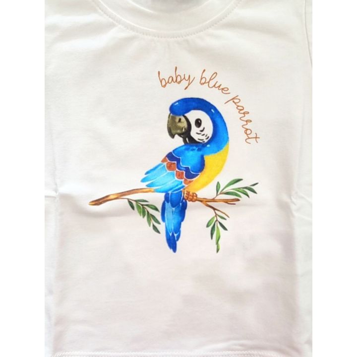 Dettaglio del pappagallo blu e giallo sul ramo con scritta baby blue parrot