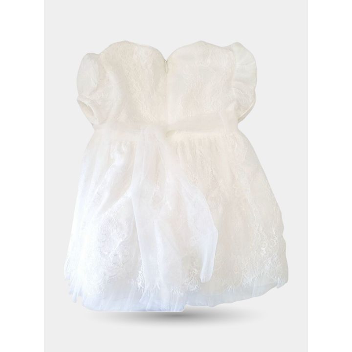 Retro dell'abito in pizzo panna del set con zip e fiocco di tulle