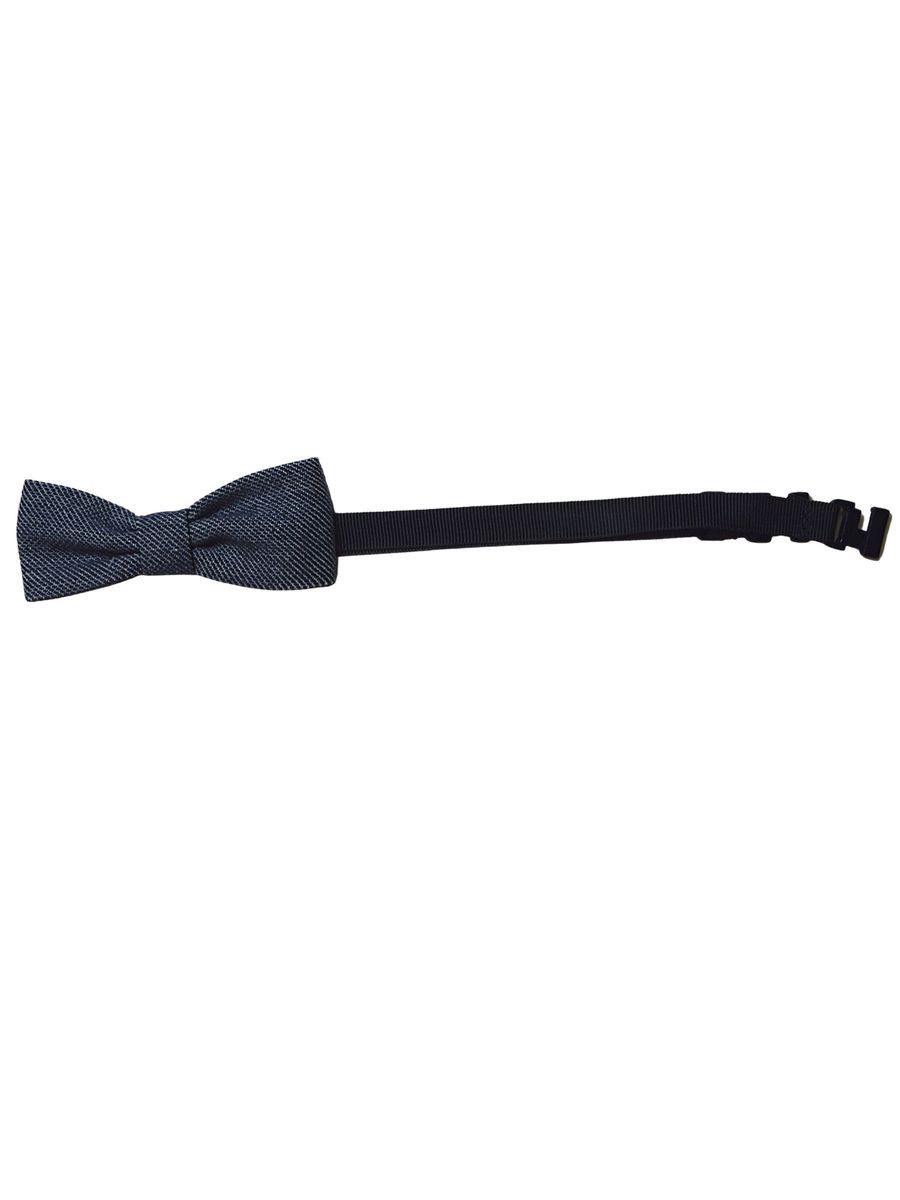 Papillon Aletta Bimbo Blu - Continuativa