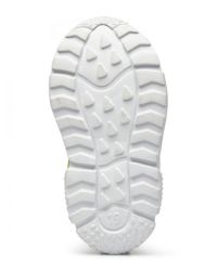 Sneakers Falcotto Bimbo | Tamaiti Boutique