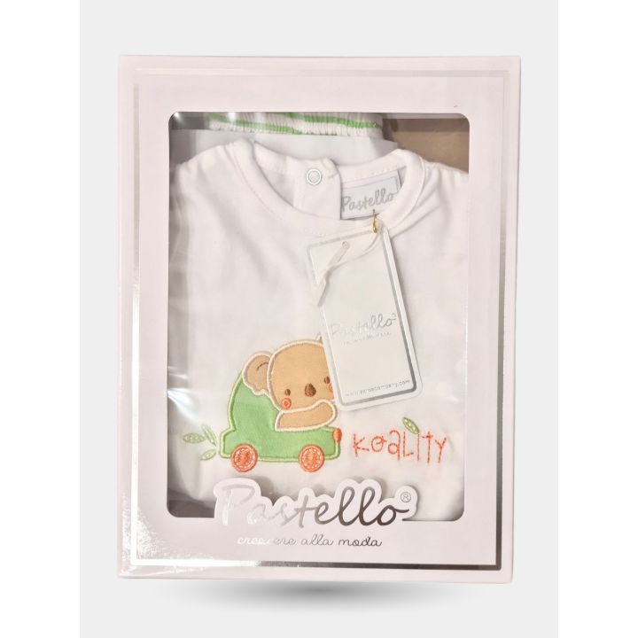 Completo con koala verde nella scatola Pastello con finestra