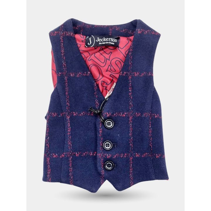 Gilet Jeckerson blu a quadri rossi da neonato vista frontale, tre bottoni