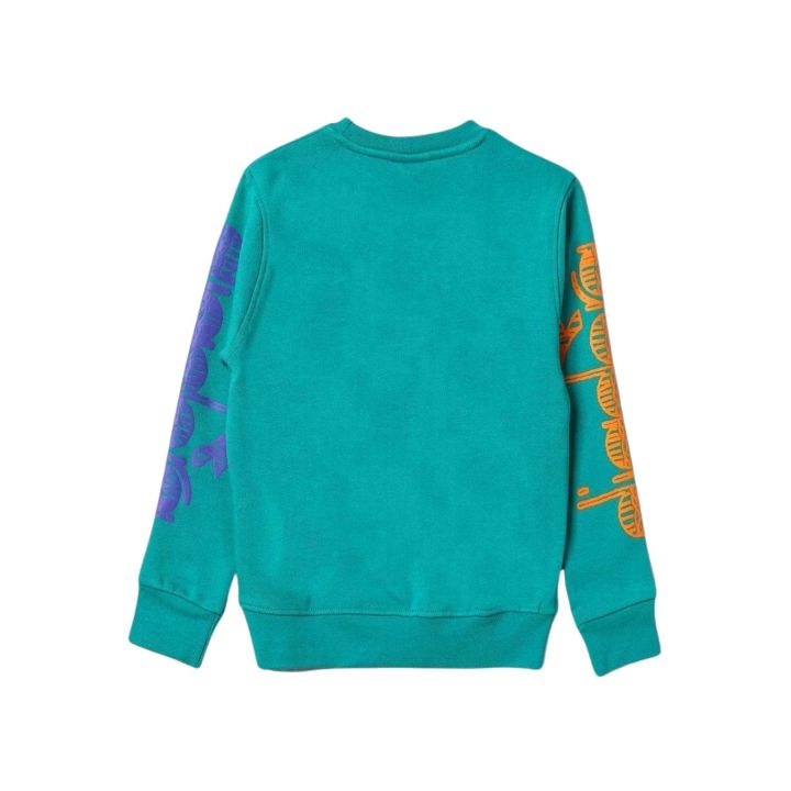Felpa Diadora Bambini e ragazzi Verde - Autunno/Inverno