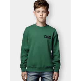 Felpa DS2 verde indossata da un ragazzo con piccolo logo nero sul petto