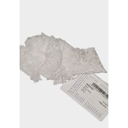Fascia Aletta Bimba Bianco - Continuativa